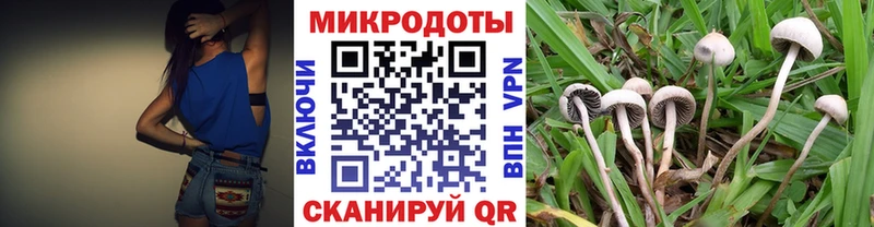 цены наркотик  Озёры  Псилоцибиновые грибы мицелий 